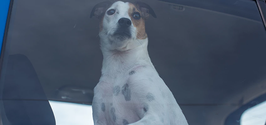 Car Lockout Solutions in Imperial Beach, California